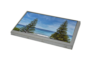 11.6寸edp接口的屏幕型號 11.6寸屏幕edp接口的特點